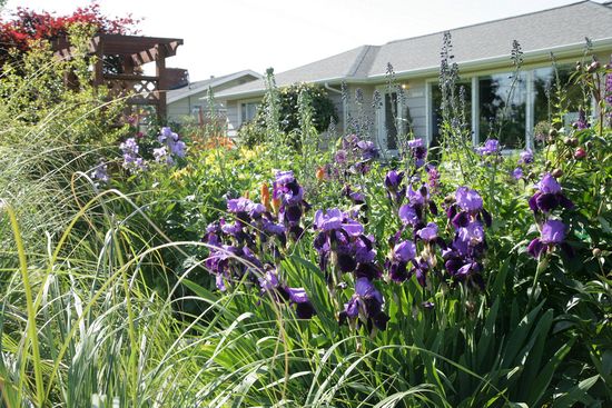 Linda Lehn Garden